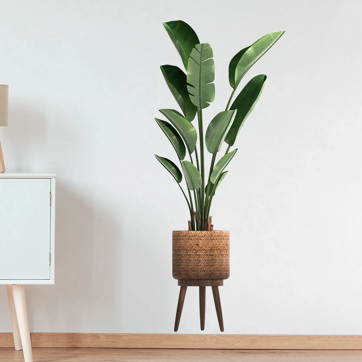 محاكاة النباتات الخضراء الزينة - مراجعة Home Office Word وسعره